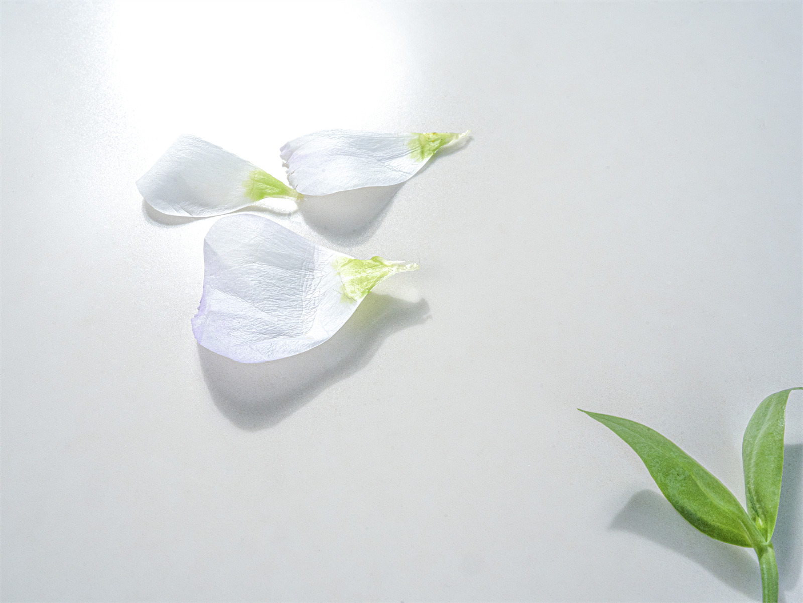 DSC06337拷贝